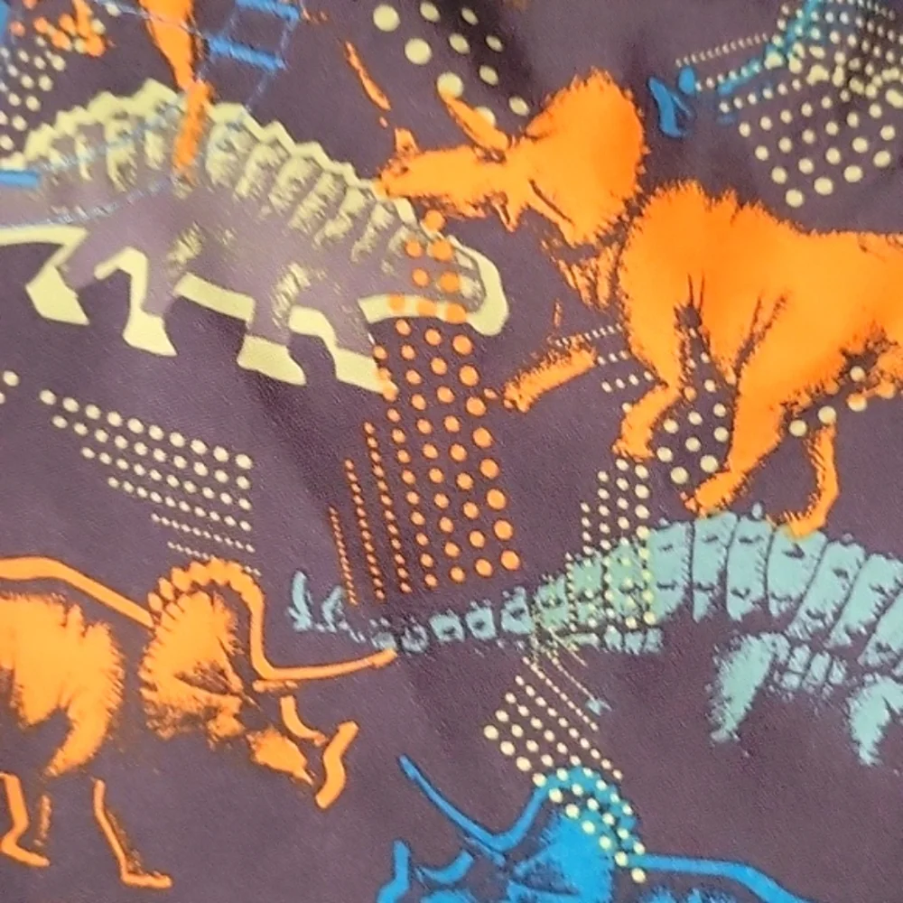 NEW Toddler Boy 2-Piece Rashguard & Matching Dinosaur Shorts Swim Set